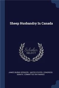 Sheep Husbandry In Canada