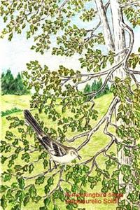 mockingbird sings