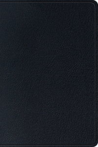 ESV Single Column Thinline Bible