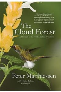 Cloud Forest
