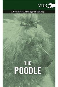 The Poodle - A Complete Anthology of the Dog