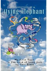 Perspectives of a Flying Elephant