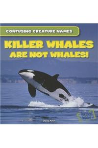 Killer Whales Are Not Whales!