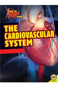 Cardiovascular System