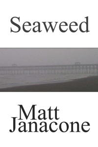 Seaweed