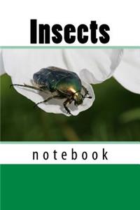 Insects