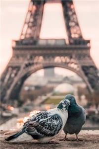 Pigeons in Paris Journal