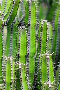 Green Cholla Cactus Journal