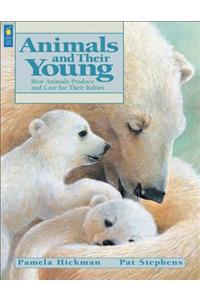 Animals and Their Young