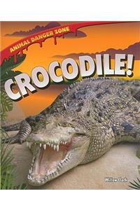 Crocodile!