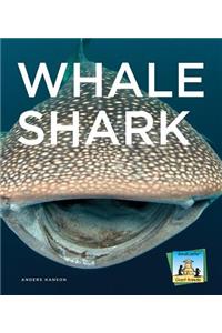 Whale Shark