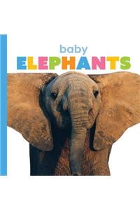 Baby Elephants