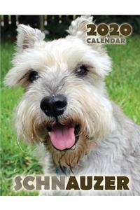 Schnauzer 2020 Calendar