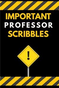 Important Professor Scribbles Notebook / Journal 6x9 Ruled Lined 120 Pages