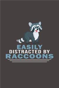 Easily Distracted By Raccoons