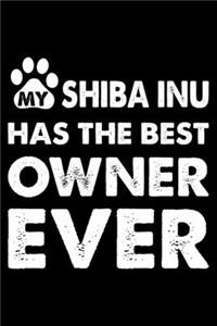 My Shiba Inu Has The Best Owner Ever