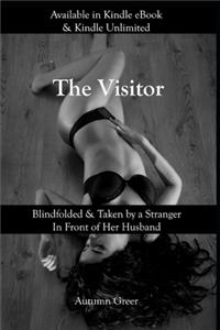 Visitor