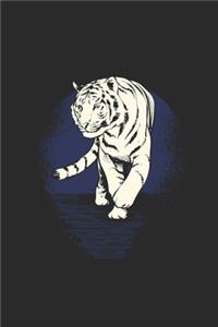 Tiger Drawing