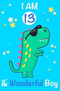 I am 13 and Wonderful Boy
