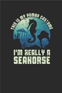 I'm Really A Seahorse