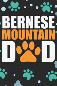 Bernese Mountain Dad