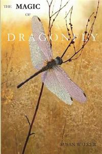The Magic of Dragonfly
