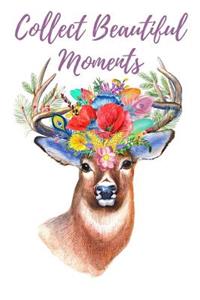 Collect Beautiful Moments