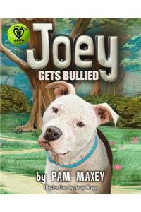 Joey Gets Bullied