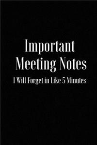 Important Meeting Notes I Will Forget in Like 5 Minutes