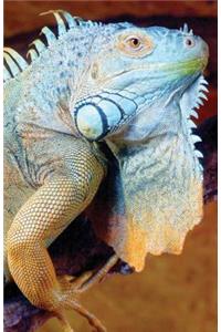 Bullet Journal for Animal Lovers Iguana