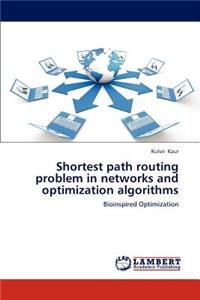 Shortest Path Routing Problem in Networks and Optimization Algorithms