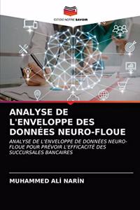 Analyse de l'Enveloppe Des Données Neuro-Floue