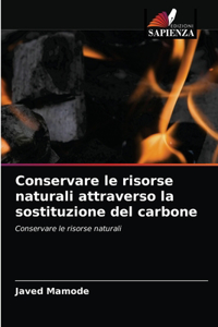 Conservare le risorse naturali attraverso la sostituzione del carbone