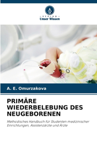 Primäre Wiederbelebung Des Neugeborenen