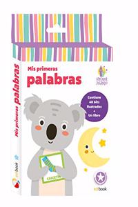 APRENDER JUGANDO - LIBRO BITS - mis primeras palabras