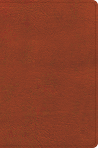 CSB Single-Column Personal Size Reference Bible, Burnt Sienna Leathertouch