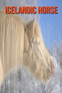 Icelandic Horse