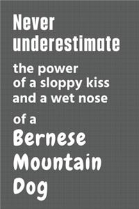 Never underestimate the power of a sloppy kiss and a wet nose of a Bernese Mountain Dog