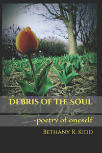 Debris of the Soul