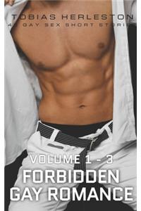 Forbidden Gay Romance Volume 1 - 3