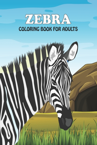 Zebra Coloring Book For Adults