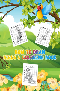 How to Draw Birds & Coloring Book