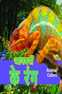जानवरों के रंग/Animal Colors (Hindi)