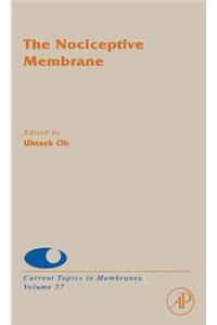The Nociceptive Membrane