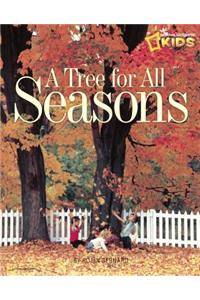 Tree for All Seasons