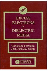 Excess Electrons in Dielectric Media
