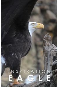 Inspiration Eagle