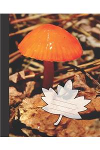 Wild Orange Mushroom in the Woods Blank Wide-ruled Lined School Composition Notebook