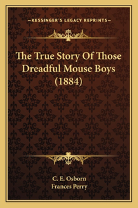 The True Story Of Those Dreadful Mouse Boys (1884)