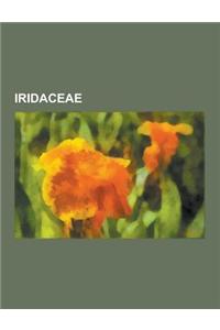 Iridaceae: Crocus, Iris, Iris Pumila, Babiana, Aristea, Crocus Vernus, Moraea, Iris Des Marais, Iris Laevigata, Iris Fetide, Iris